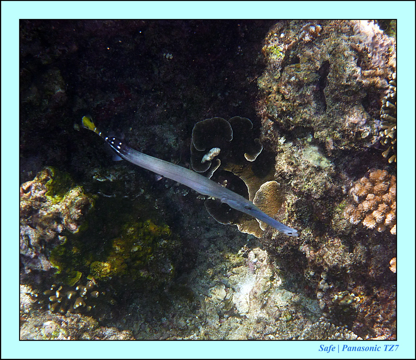 2012 - 07 - Gili - 70